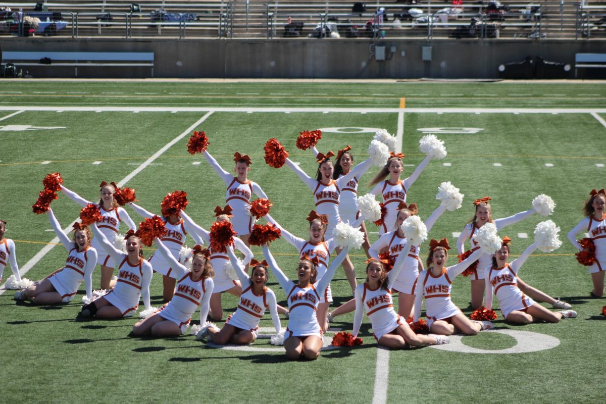 Full of excitement after successfully completing their routine, the cheerleaders hit the finishing pose. Fusion was the teams last performance with this team.