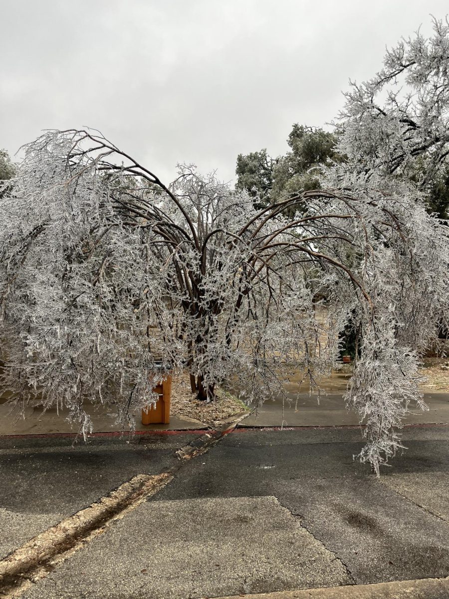 A majority of Texans rely on  Electric Reliability Council of Texas (ERCOT) for their electricity, especially during the winter. But after the recent winter storm, and previous winter disasters, Texas' power grid should be re-evaluated.