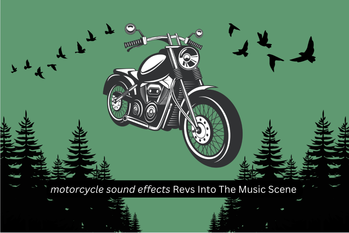 "motorcycle sound effects" is Canadian artist young friend's sophomore album. The album is filled with bright guitar and complex lyrics.